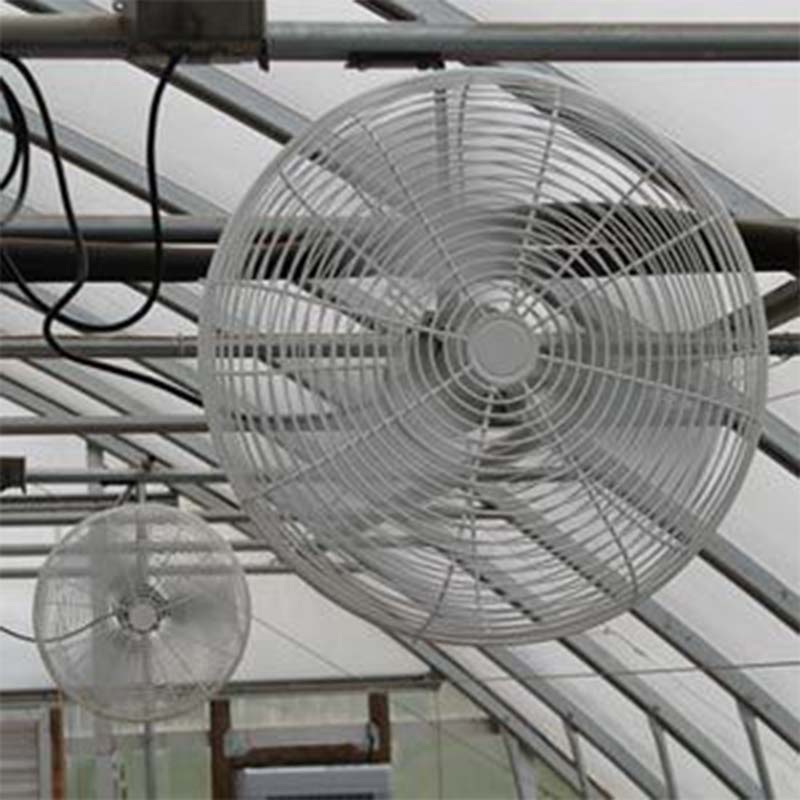 valutek fan close up