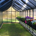 8x24 riverstone greenhouse inside view