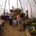 GrowSpan-Round-Hobby-Pro-Greenhouse-inside