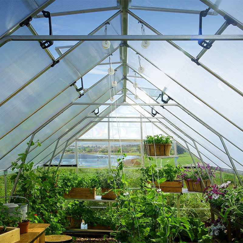Palram - Canopia Balance Greenhouse