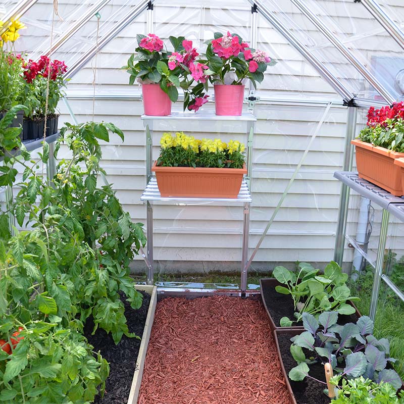 canopia snap and grow greenhouse inside view