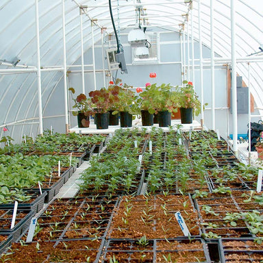 solexx conservatory greenhouse inside view