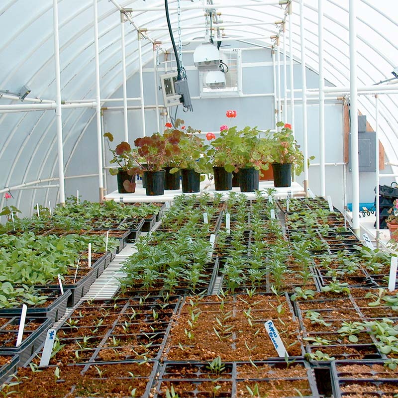 solexx conservatory greenhouse inside view