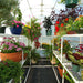 solexx 12 ft gardener's oasis greenhouse inside view