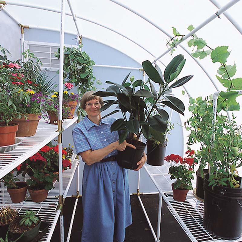 inside harvester greenhouse 